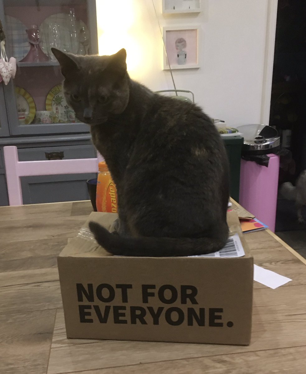 Ian_in_SPACE's tweet photo. Couldn’t resist this pic, tbh she’s very sociable, our other cat should be sitting on this box! #cats #CatsOnBoxes https://t.co/uSwRCoV4jf