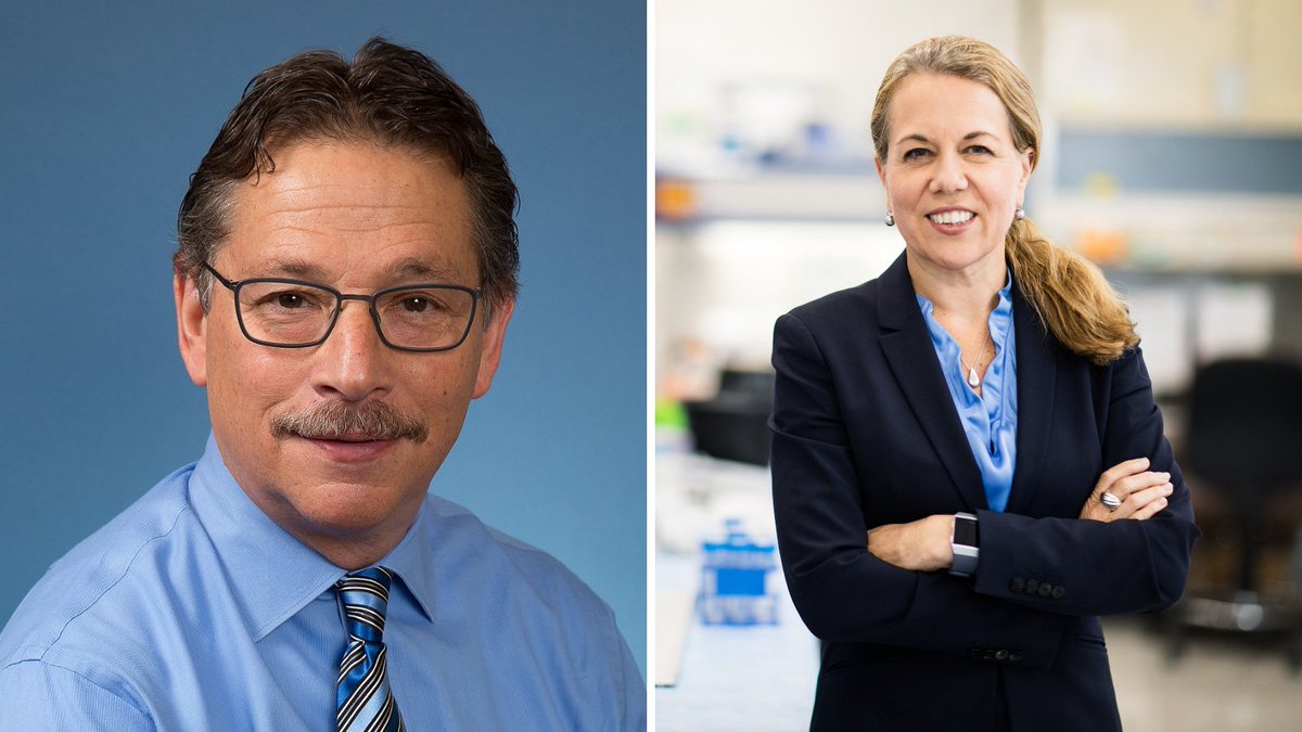 ASGCTherapy's tweet photo. Congratulations to ASGCT Past President Donald Kohn, M.D. (@UCLA), and ASGCT Member Catherine Bollard, M.D. (@ChildrensNatl), for winning @ISCTglobal's Career Achievement Award and inaugural Darwin J. Prockop Mentoring Award, respectively! https://t.co/qHd84CN80D https://t.co/u71uQqd52V