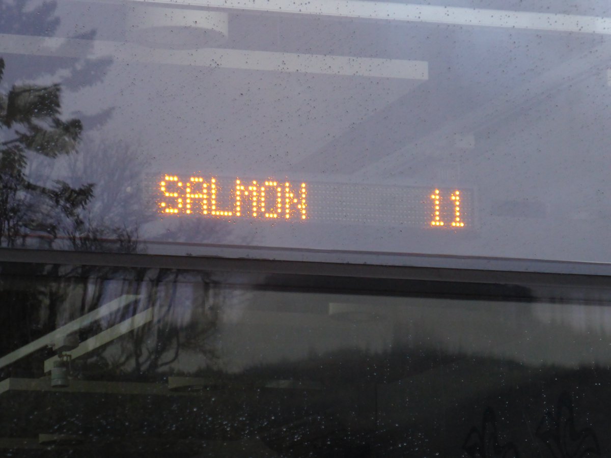 pitlochryAC's tweet photo. Ladder count 11
Water temp 5.9C (42.6F)
Wed 24/03/21 18:20 GMT

Water temp still low for salmon to get up the ladder. That some are may reflect there being a lot of large 3 sea winter salmon about. They are more able to get up the ladder in cold water than the smaller 2 SW fish. https://t.co/bnamDPQ3dH