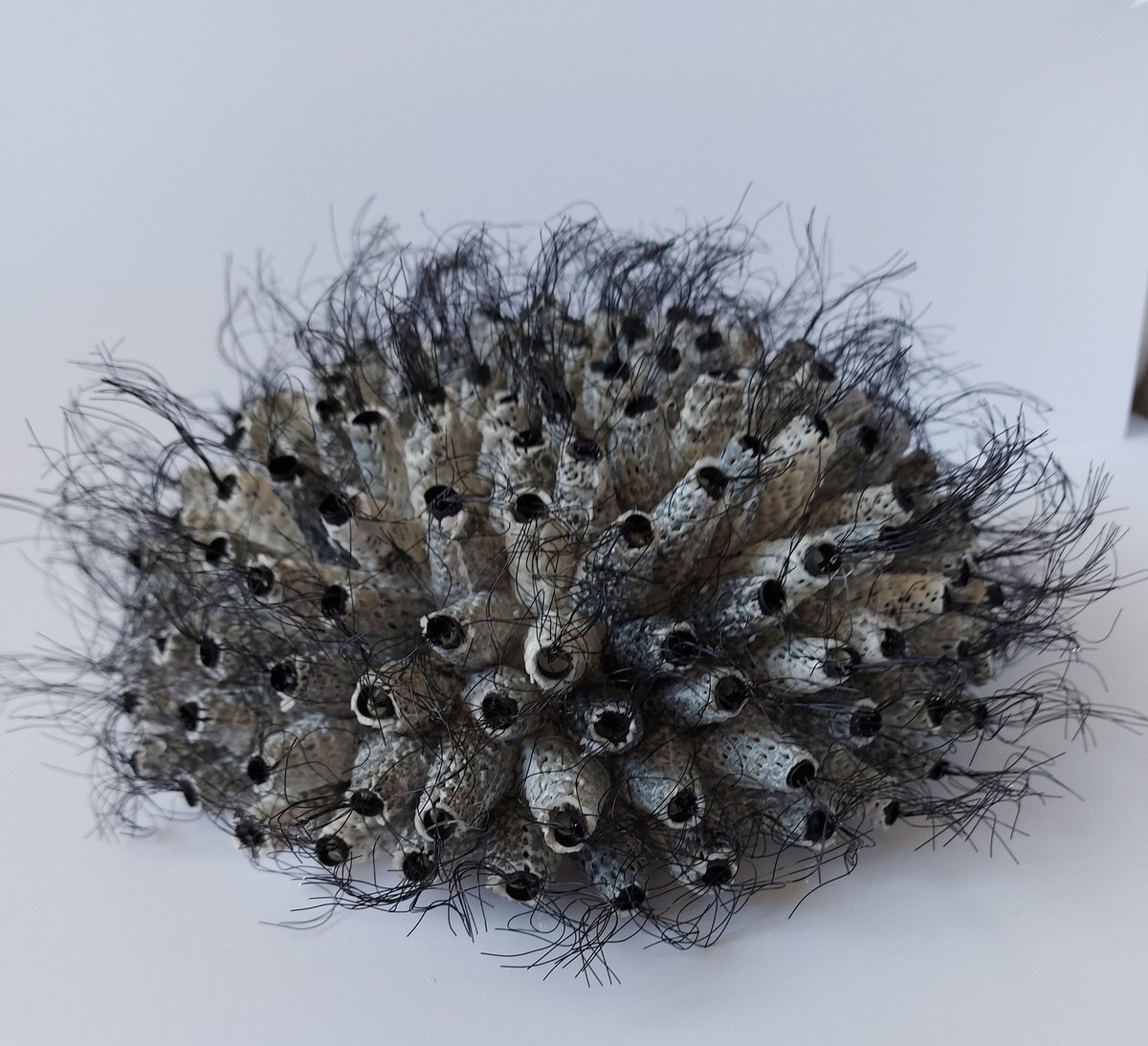 MarianJazmik's tweet photo. Textile art sculpture.
#textiles #sculpture #embroideryisart #cacti #macrophotography #contemporarytextiles #art #societyforembroideredwork https://t.co/OHBq6BOnRr