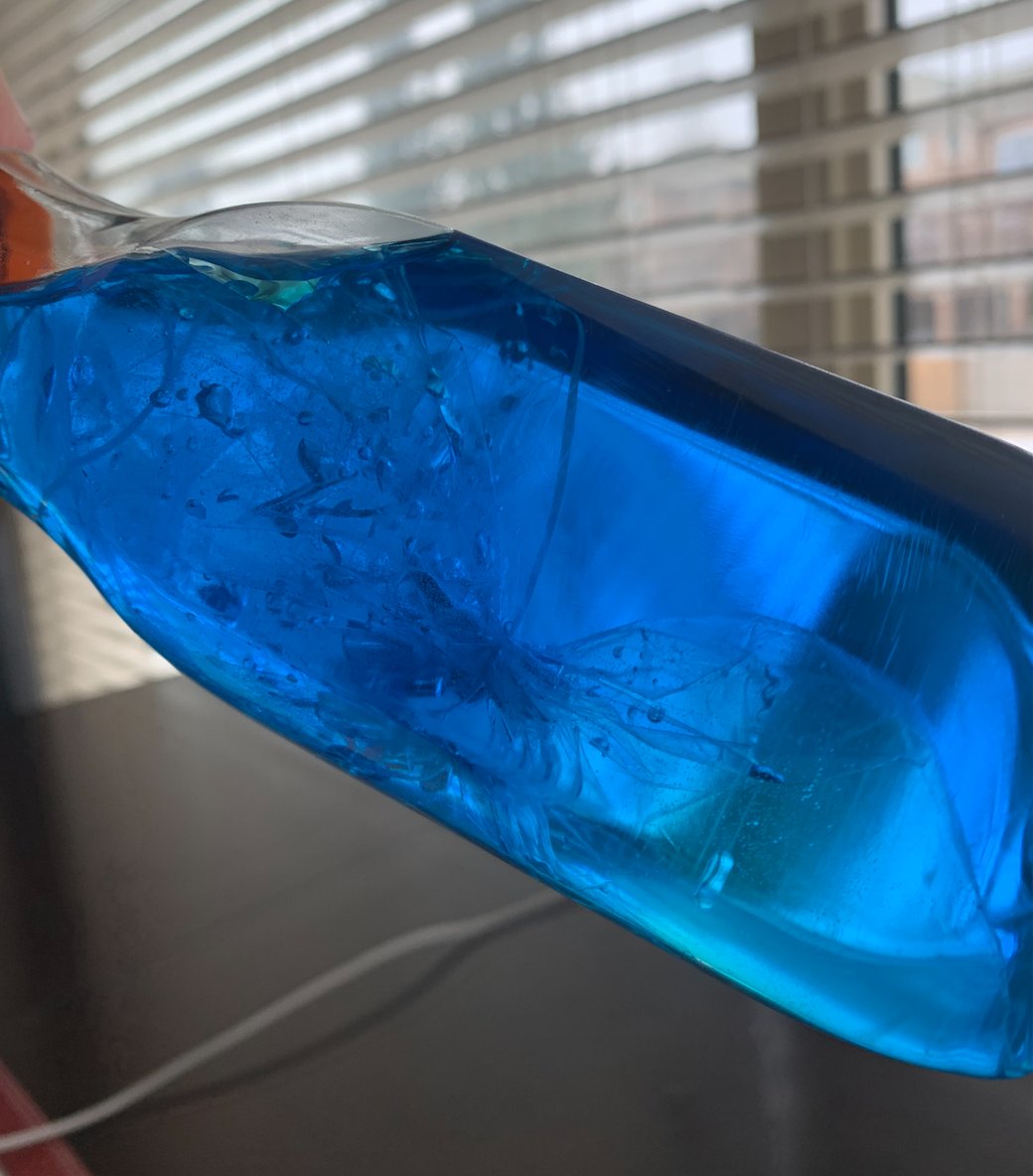 WDSHubEES's tweet photo. This week we are exploring under the sea, and today we made a jelly fish in a bottle! This is a great sensory tool and so fun to make and play with. We thought it was SO COOL #WDS🐙🦀🐠🐬🦈🐳🦭 https://t.co/f4xEd0UEJT