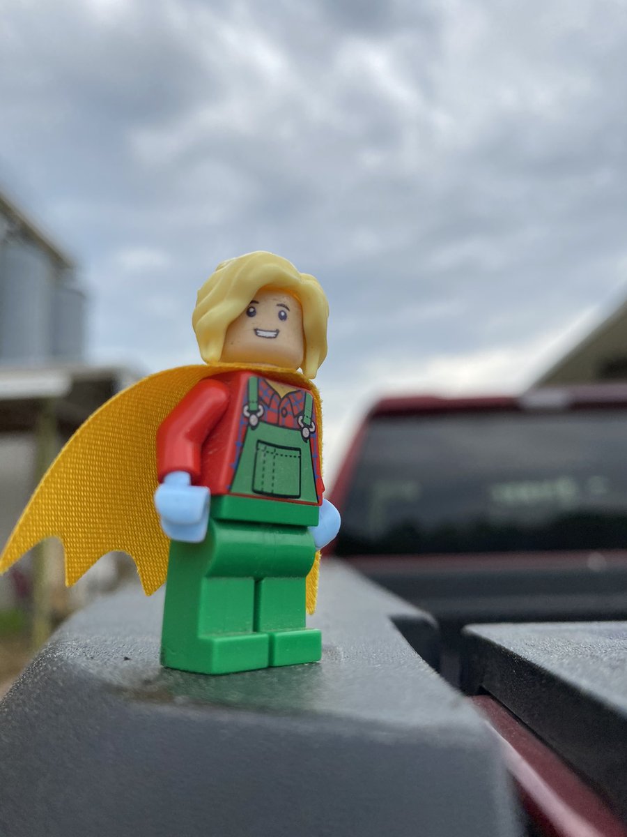 LegoForages's tweet photo. It’s #AgHero day during #GaAgWeek2021! We have a lot of #heroes we look up to (and not just because we are #short).
#ThankYouHeroes #ThankAFarmer #NiftyTifty https://t.co/THOfCXfqnw