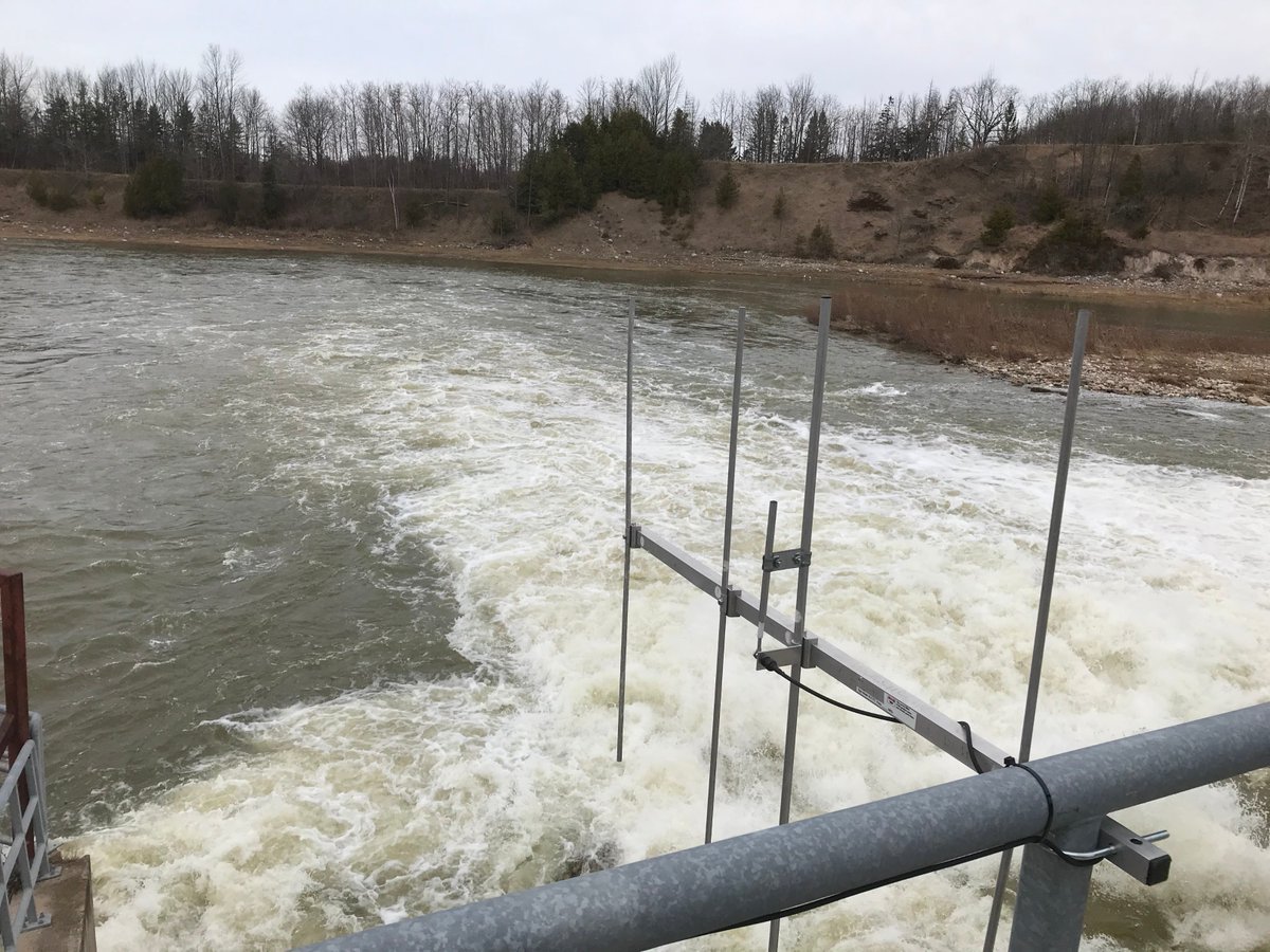 BiotacticInc's tweet photo. Monday- a great tracking flight with @FlyOwenSound. Tuesday- installed a new fixed #telemetry receiver station monitoring #fishpassage at a key #dam and #fishway, bringing our total to 6 across the river
Thursday- stay tuned for an exciting announcement! https://t.co/vbCizsGnY2