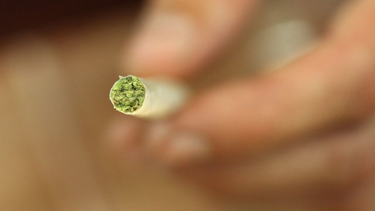 Florida Politics tweet media