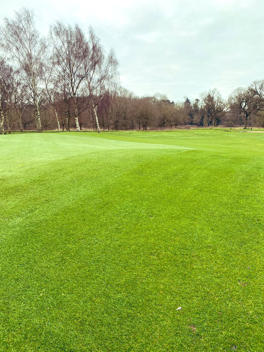 ianwalley's tweet photo. Great course walk yesterday looking at cutting patterns and future works @Kedleston_Park with @markhillaby1  It’s still very early in the season but the boys have done a great job in getting to this stage during a very wet winter! ⛳️💪 https://t.co/5W5btWTvmg