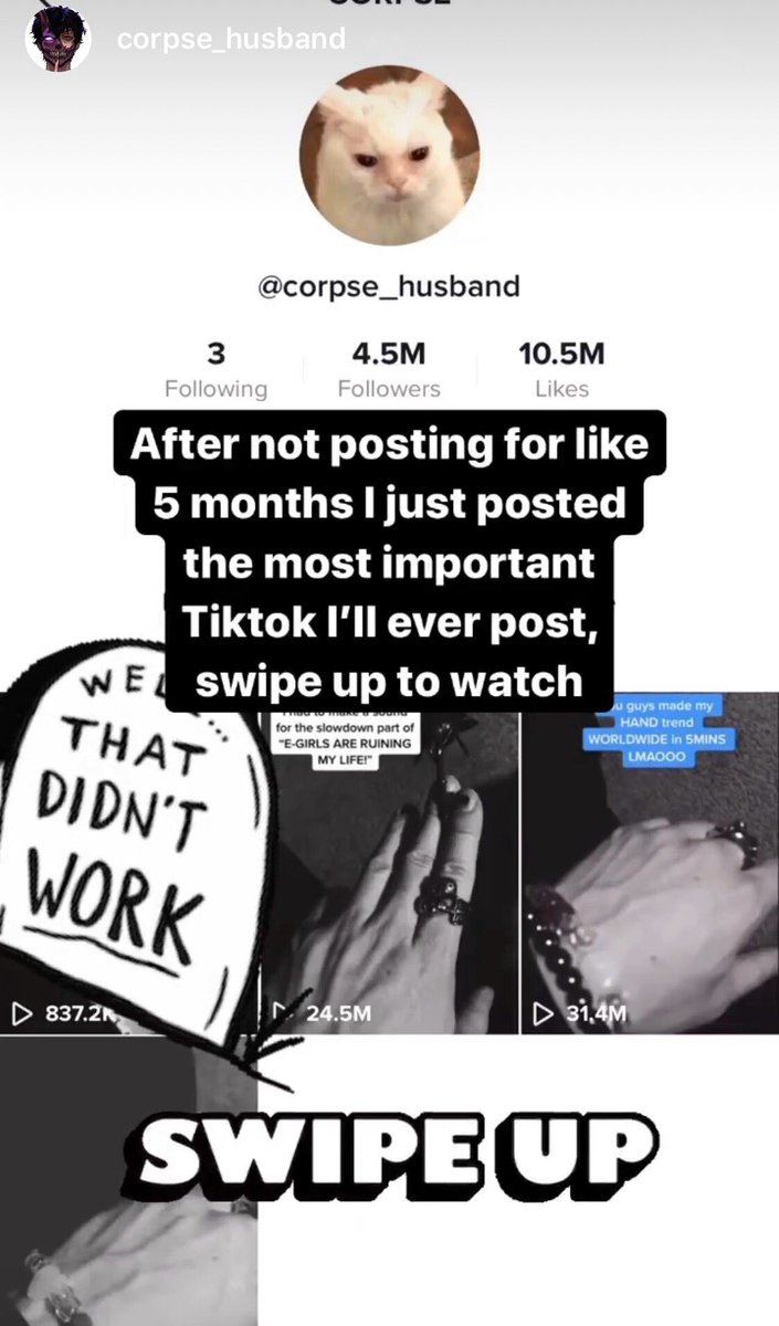 agorapovic's tweet photo. i mean...he’s not wrong. sykkuno really is THE most important tiktok just look at him?! honestly corpse is so blessed wow https://t.co/KzIWZOgC3g