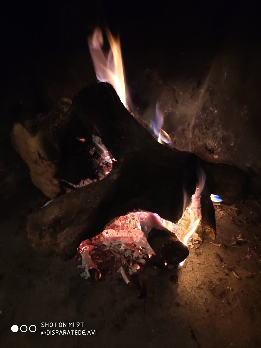 disparatedeJavi's tweet photo. Mar, sal, brisa, aire, silencio ... Estos raticos privilegiados ...
#myHome #retiros #regalos #sinGritos https://t.co/aBjVDTtDQ9