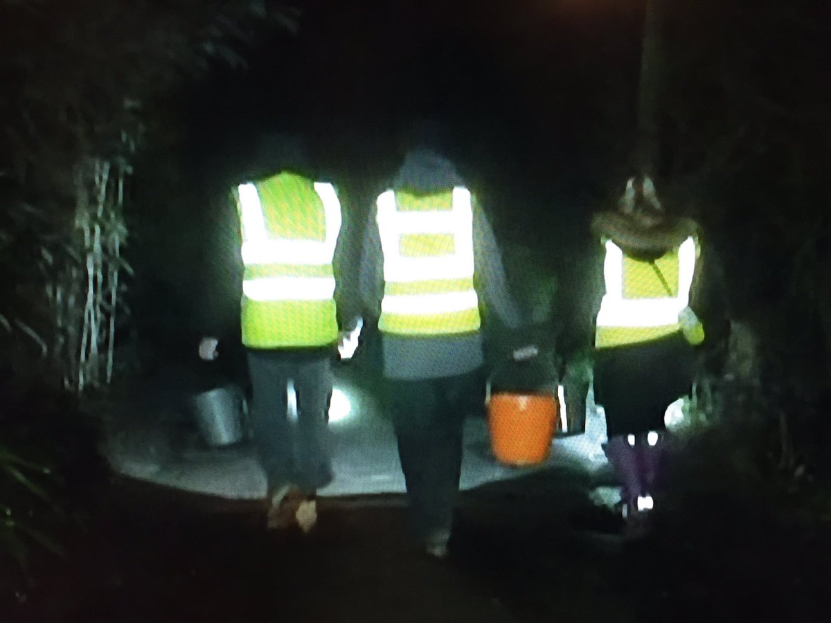 SophieKBoxall's tweet photo. Lovely piece tonight on @BBCSouthNews about @froglifers #volunteer #toad patrol along Hensting Lane, Colden Common. Thank you so much @AnjanaGadgil @JoKentTV, from us and the toads ๐ธ @misswaca81 https://t.co/hPlY9vDxBi