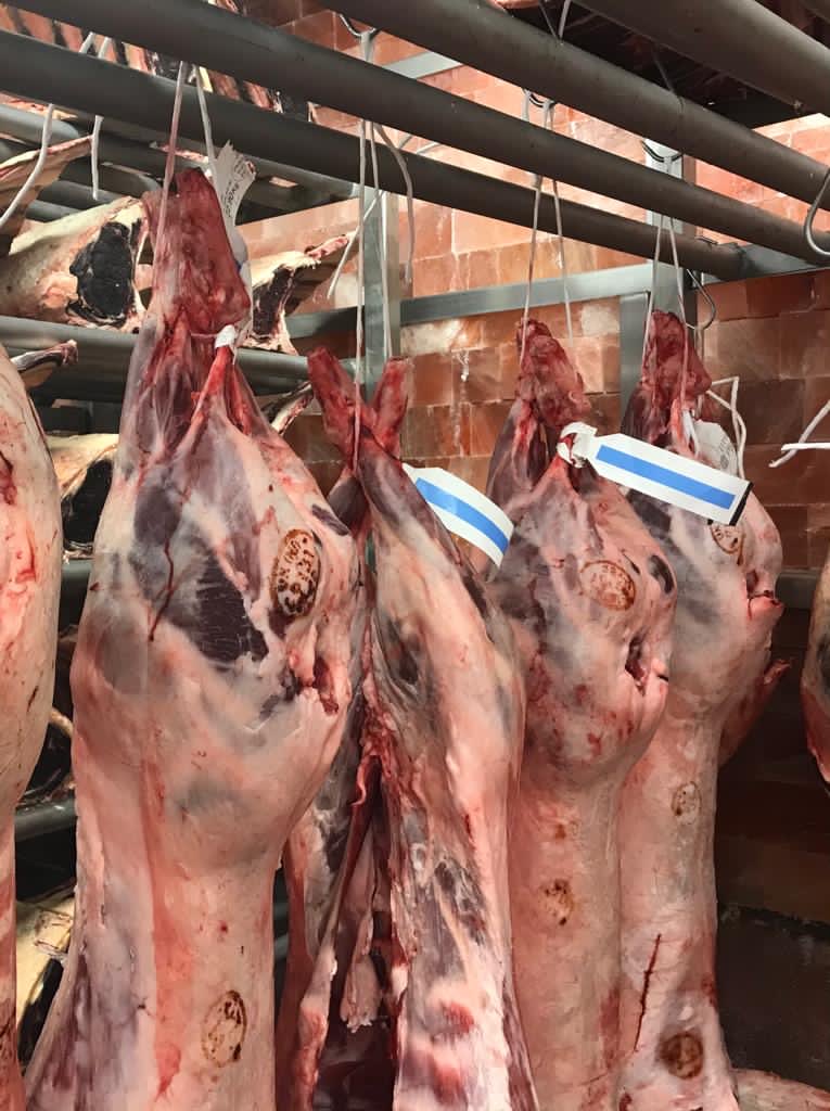 MeatPeter's tweet photo. Our farmers have produced incredible new season lamb this year...14 days salt-aged for Easter.
#springlamb #easterfeasts #himalayansaltaged https://t.co/yJPO5mDPe9