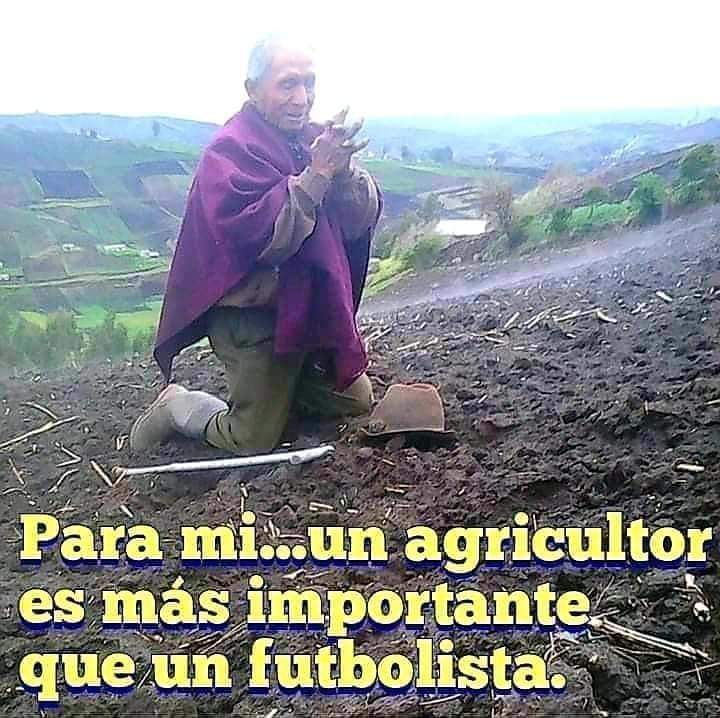 Honor a quien Honor merece