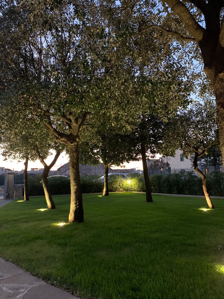 pace_aurelia's tweet photo. In tempo di crisi,c’è anche chi ci crede e si organizza per lavorare e fare imprenditoria al Sud...👷🏻♀️👷♀️👷🏻♀️👷🏻♀️👷🏻♀️💪🏻💪🏻#bedandbreakfast #villaaurelia #openingsoon #apulianstyle #tourisminapulia https://t.co/EqagH176nI