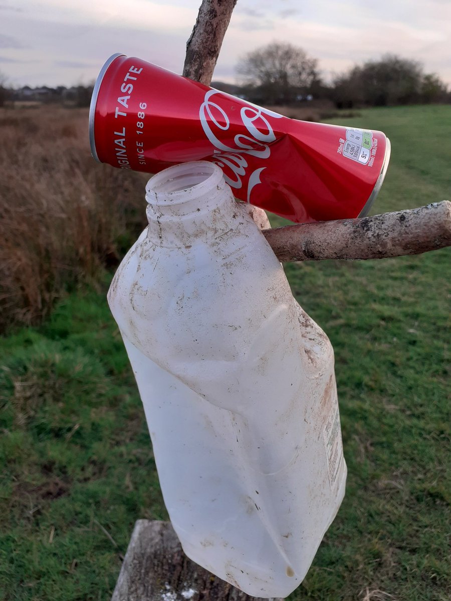 Doxey marshes walk. 🦟 insects galore flying about. #litterpick