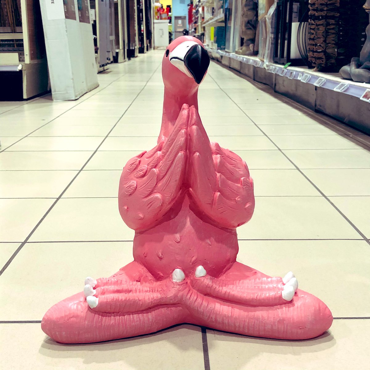 LOL - seen at <a href="/CanadianTire/">Canadian Tire</a> Love it so much! #zenFlamingo 🦩💞