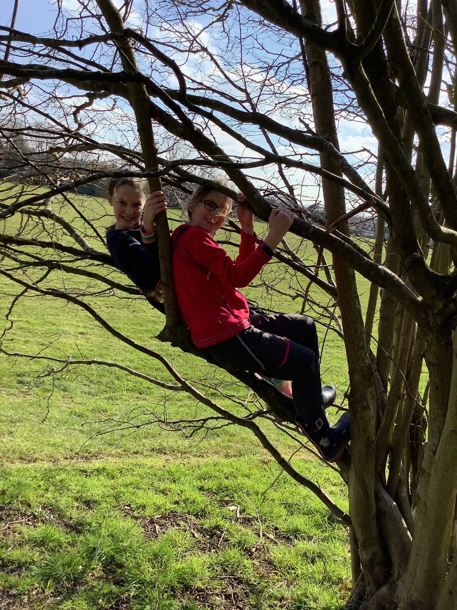 WalshCEJunior's tweet photo. Year 5 started their programme of Forest School style learning this week. Great weather added to the excitement of activities in our woodland area. I think the smiles say it all... #OutdoorLearning #DevelopingResilience @GuildfordDBE @schoolsallexcel https://t.co/mMKYFkUV9z