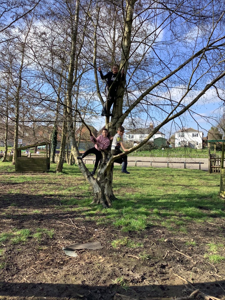 WalshCEJunior's tweet photo. Year 5 started their programme of Forest School style learning this week. Great weather added to the excitement of activities in our woodland area. I think the smiles say it all... #OutdoorLearning #DevelopingResilience @GuildfordDBE @schoolsallexcel https://t.co/mMKYFkUV9z