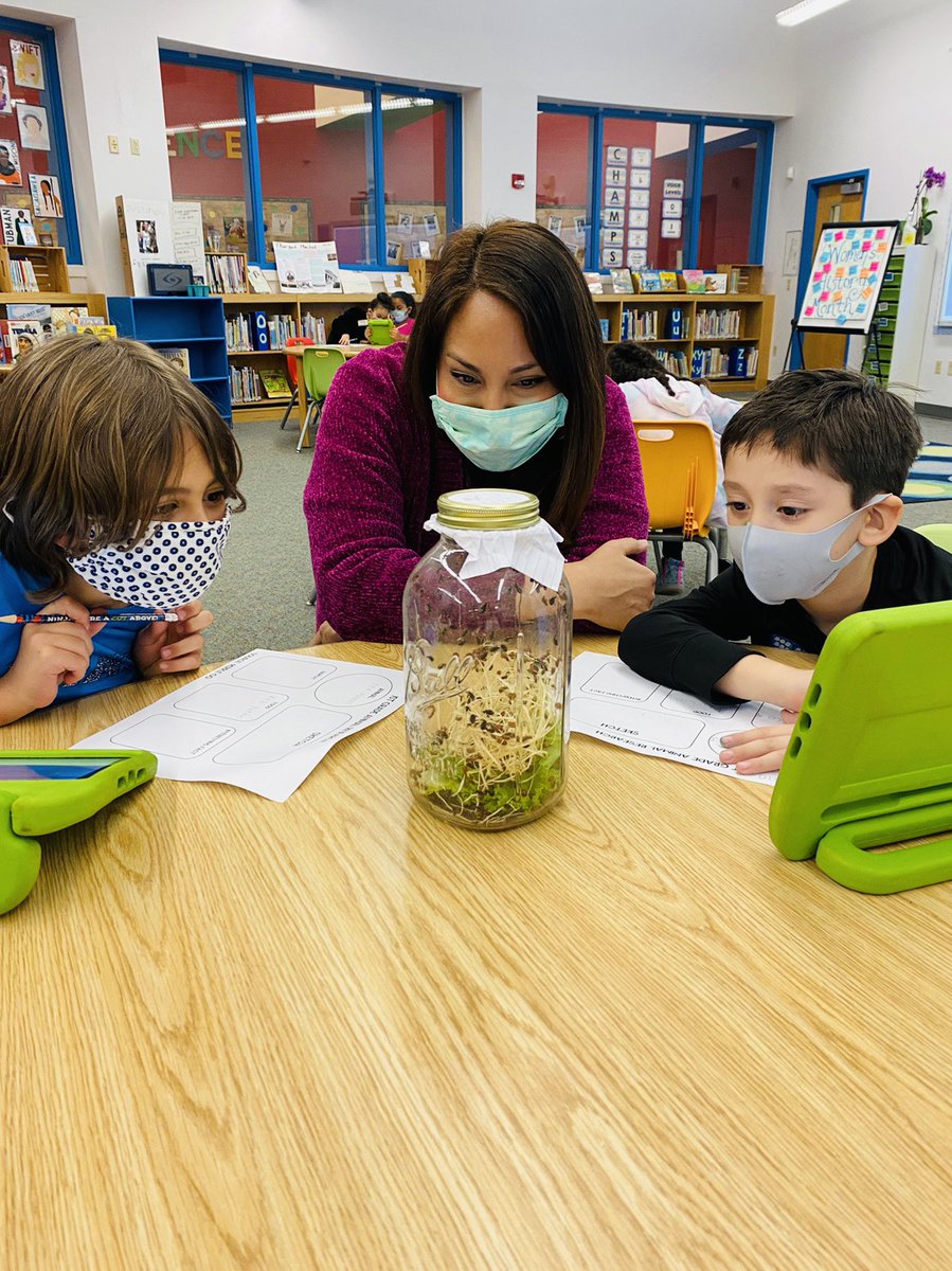CastleHillsLib's tweet photo. Exploring ladybugs live and up close! #lifecycle #animalresearch #neisdlibs @NEISDLibrary https://t.co/z2OKyjXlp6