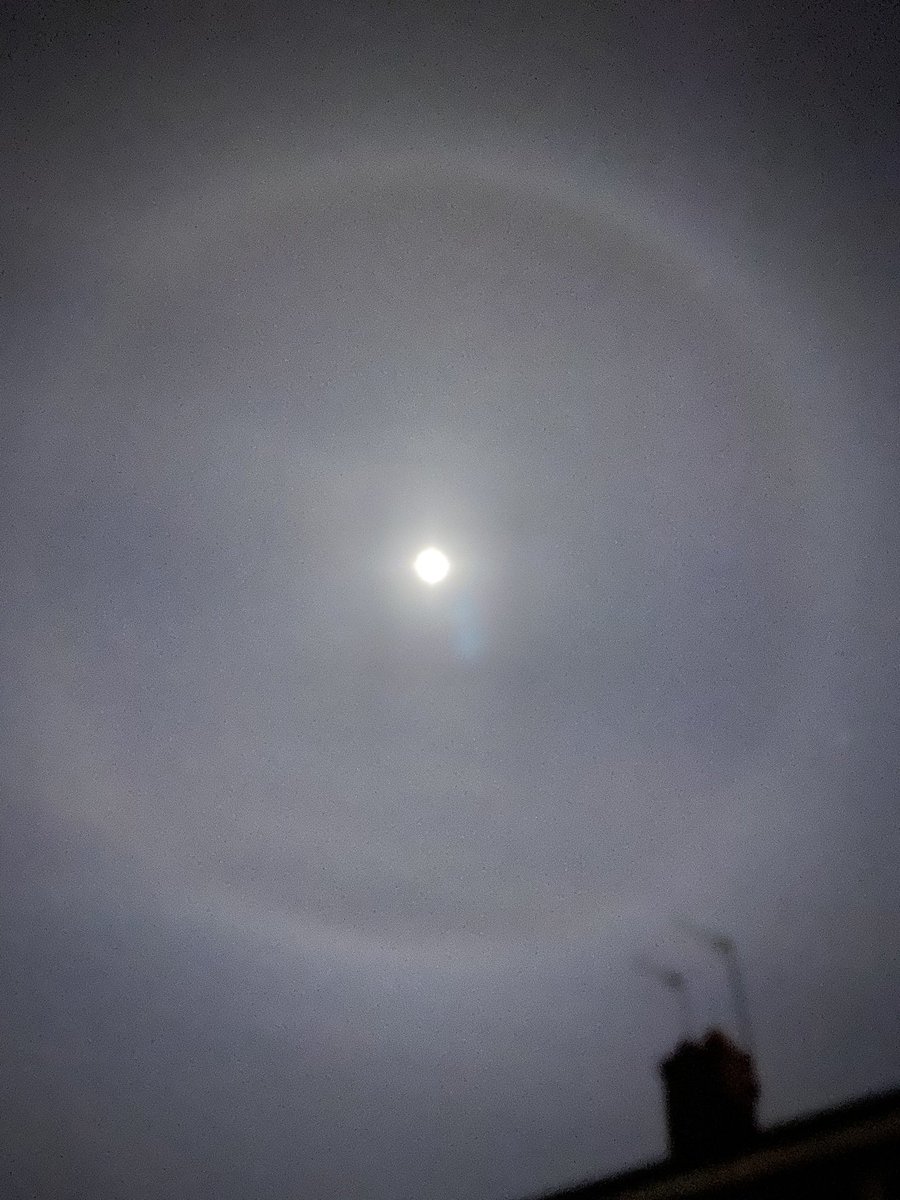 Jordan Hardy tweet media