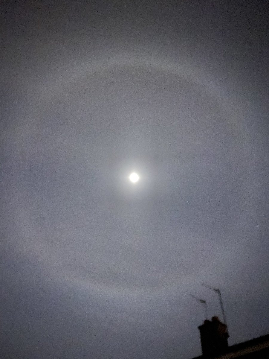 Jordan Hardy tweet media