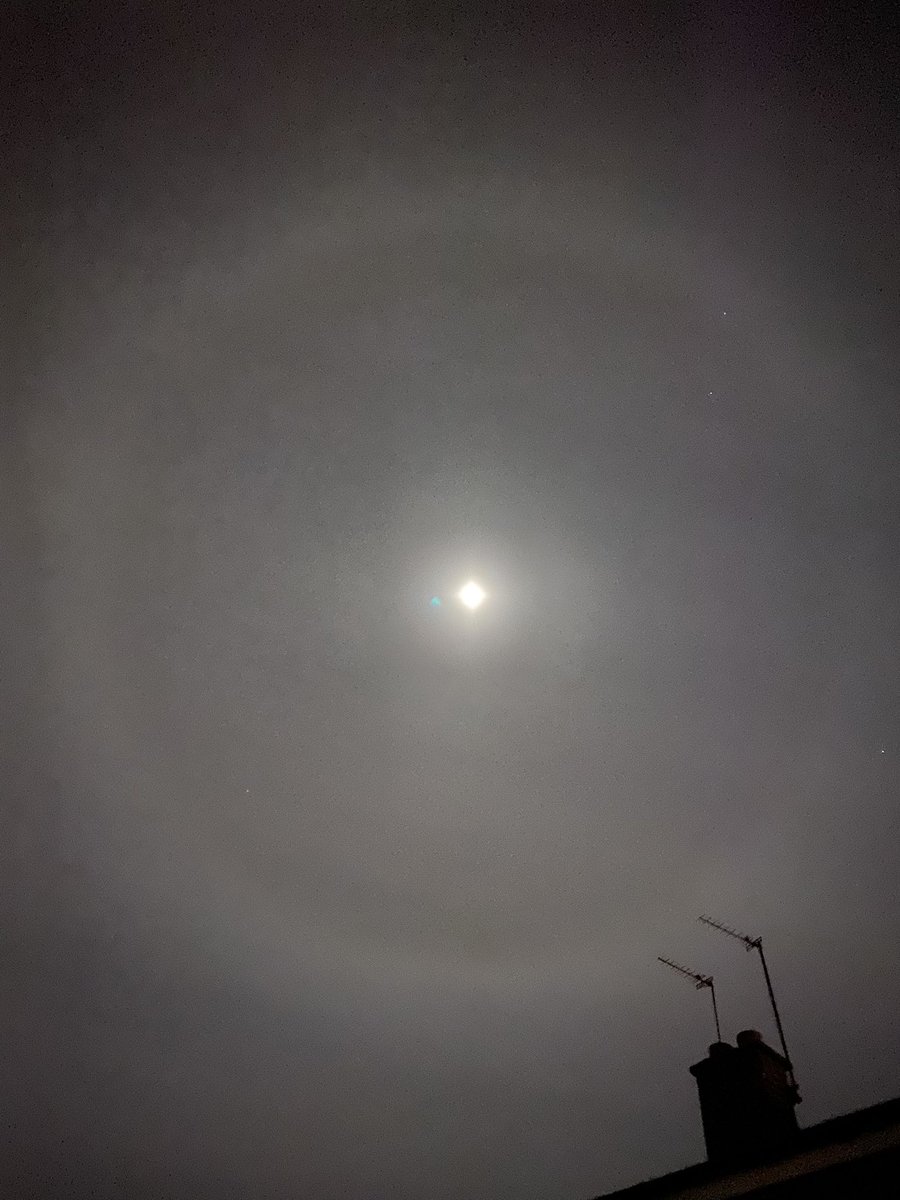 Jordan Hardy tweet media