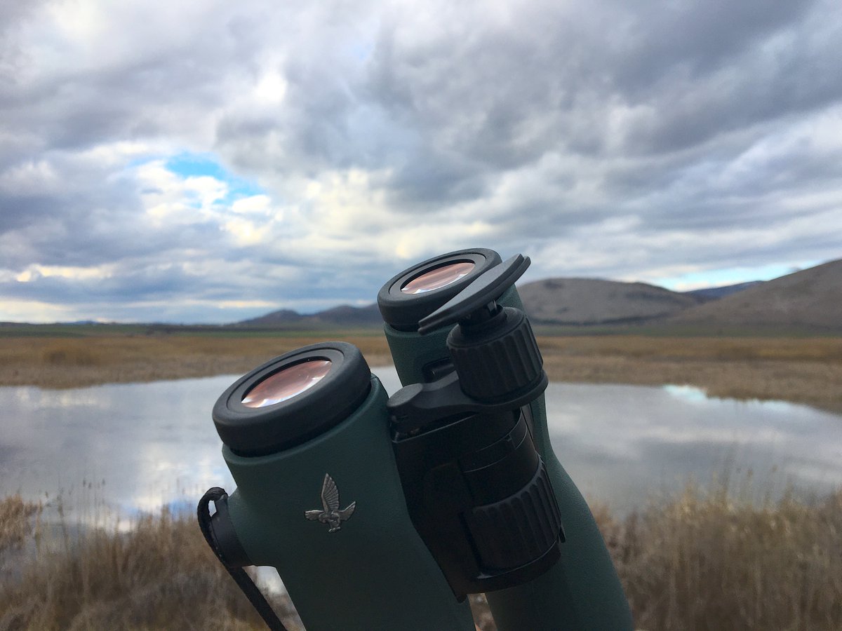 Joko's tweet photo. The NL Pure 10x42 - on location at Aldomirovtsi Marsh, Bulgaria. Common Cranes nested here many decades ago - they now pass over on migration from time to time. Yet the place remains a hotspot for many other birds - I've seen more than a 100 species there.

#nlpure #seetheunseen https://t.co/5FufIXDJbn