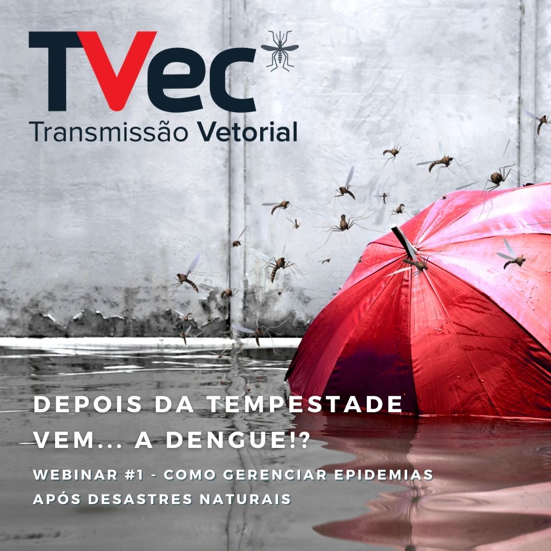 ecovec's tweet photo. DIA 8 DE ABRIL ÀS 14h, vamos inaugurar nosso Webinar sobre o contexto da #dengue e outras #arboviroses. 🦟
Neste primeiro episódio: COMO GERENCIAR #EPIDEMIAS APÓS DESASTRES NATURAIS. Broox Boze, autoridade em pesquisa nos EUA, é nossa convidada.
Não perca!
https://t.co/AVRwV00uX5 https://t.co/LXaLuY6LX4