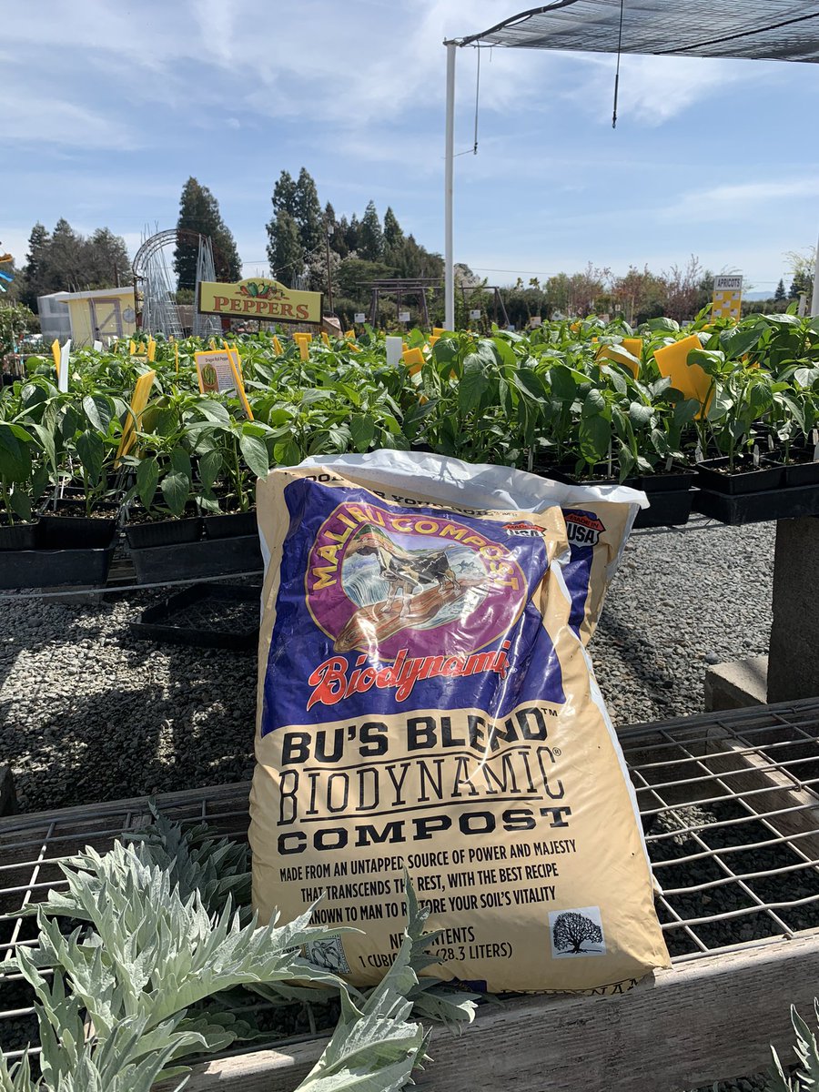 <a href="/SurfingCow/">Bu at Malibu Compost</a> this a nursery you may not know that promotes you. Sierra View in Clovis, Ca. #homegrown #compost #veggies #valleygrown #centralvalley