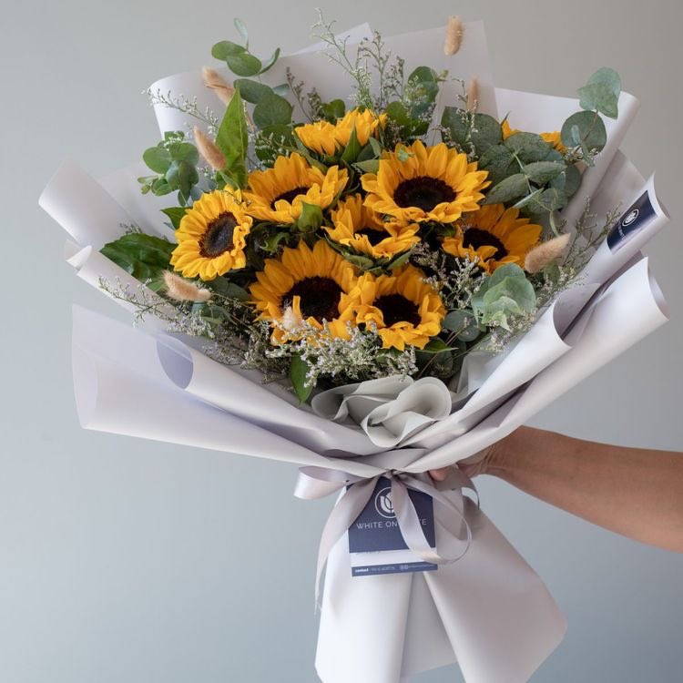 🌸 ུ۪  𝒄𝒂𝒇𝒆 𝒃𝒍𝒐𝒐𝒎 𝒅𝒆𝒍𝒊𝒗𝒆𝒓𝒚 !

 from ; 

 for  ;     <a href="/vvante_kimm/">Vante l inactive</a> 

💌 ✎.. don’t be sad. sunshine. 

CB~~