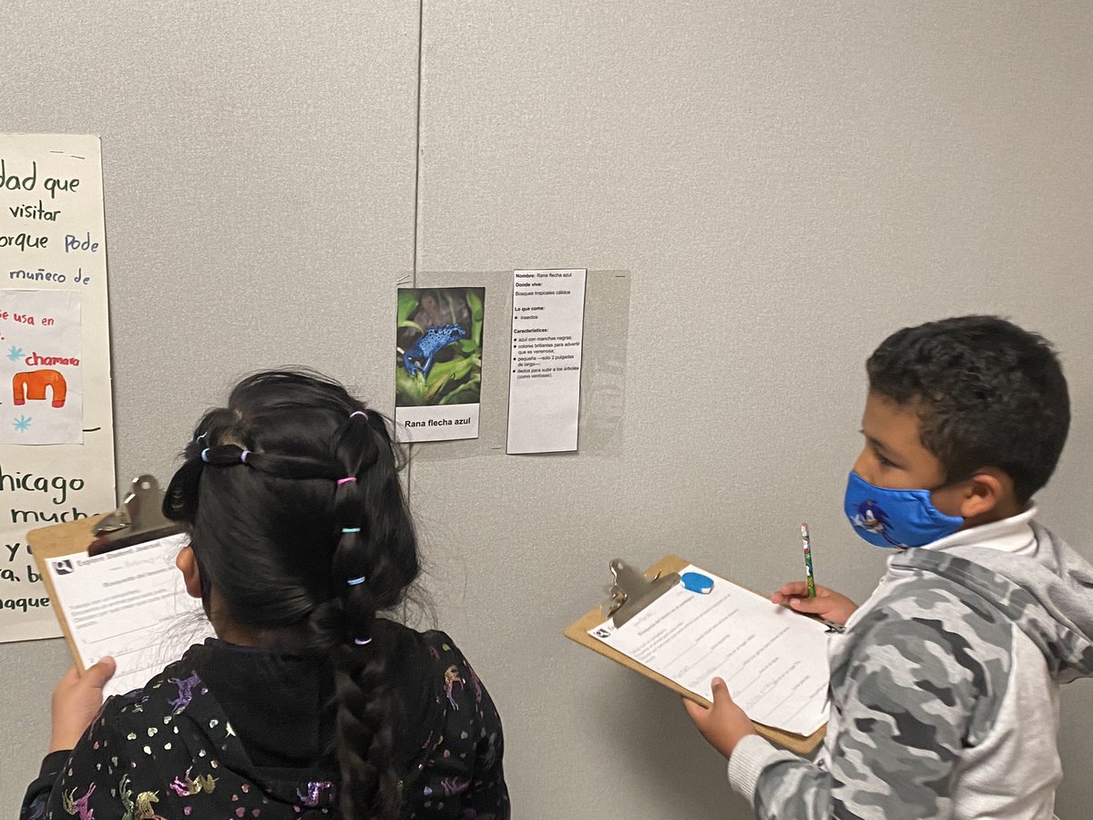 jbarcaz's tweet photo. We have truly enjoyed this “trip to the zoo”!!! #firstgradetribe @ExplorersCol investigating animals and their characteristics. https://t.co/LsqylZRoHz
