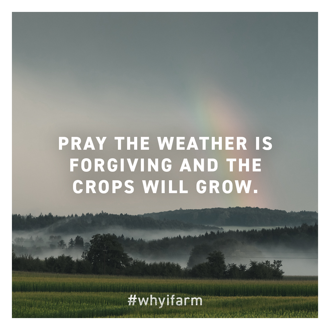 Happy Spring! We wish you and your family a safe and happy planting season. #whyifarm