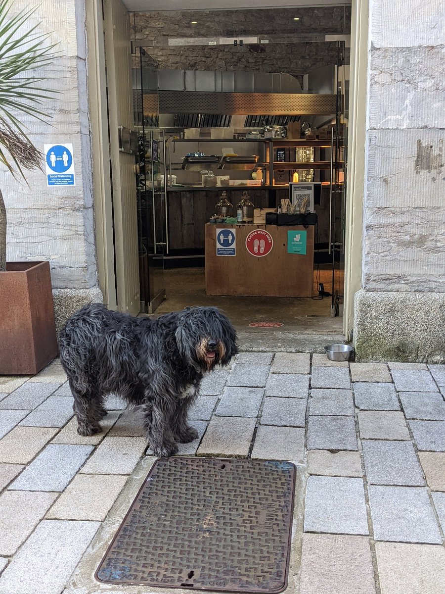 _MollyBear's tweet photo. Our with Dad this evening, #pawtrol to @RoyalWilliamYd  - slammed the anchors on outside the #hookandline - I remember going there before lockdown - wonderful #dogfriendly fish and chips - I want to go back soon! https://t.co/ZO2DNBxBqx