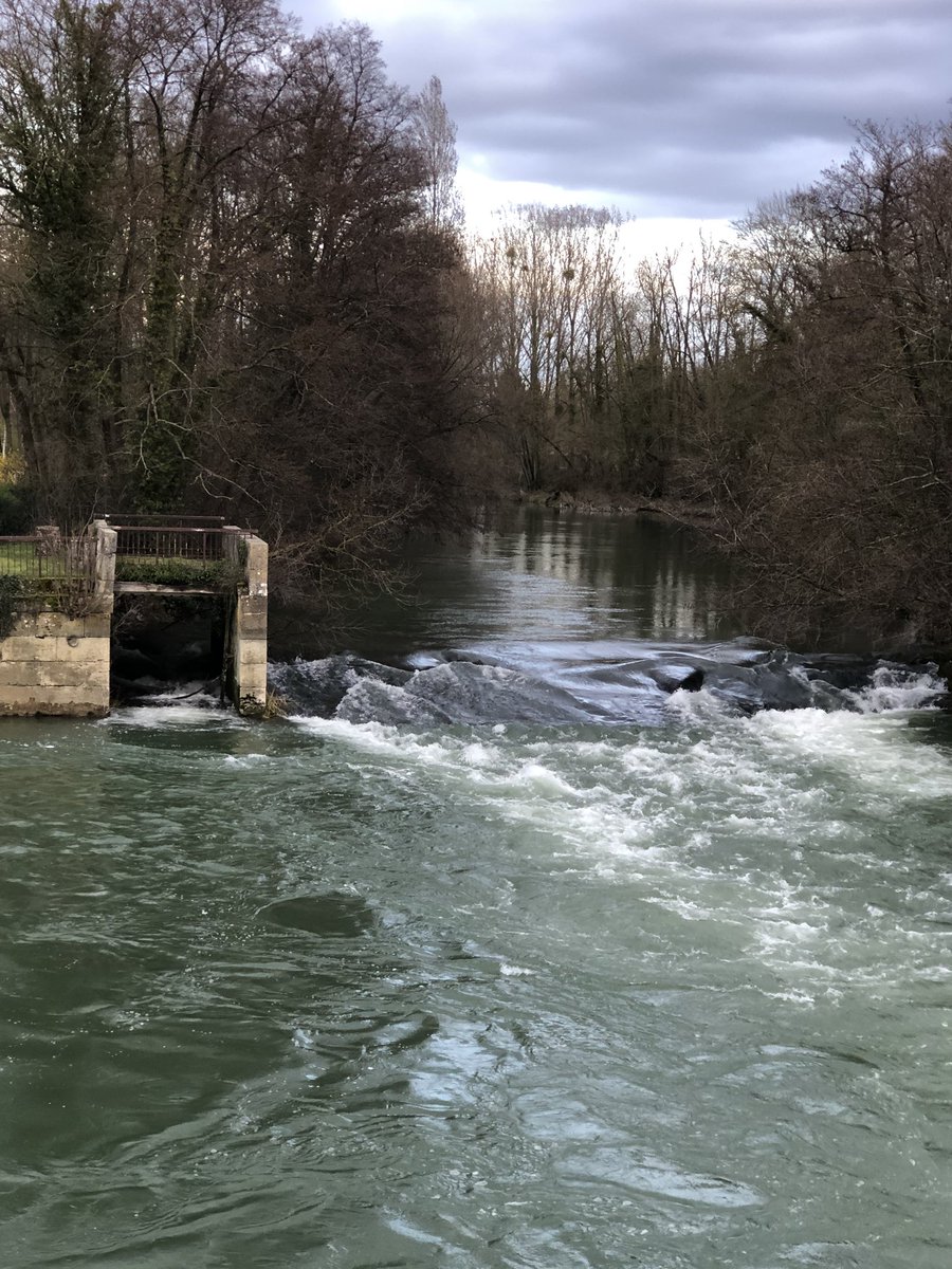 ASurmelin's tweet photo. #rivières et #coursd’eau que nous aimons : L’Aube à Arcy sur Aube. #nature #biodiversité #gemapi @AubeDepartement https://t.co/SRDaZ2C0uW