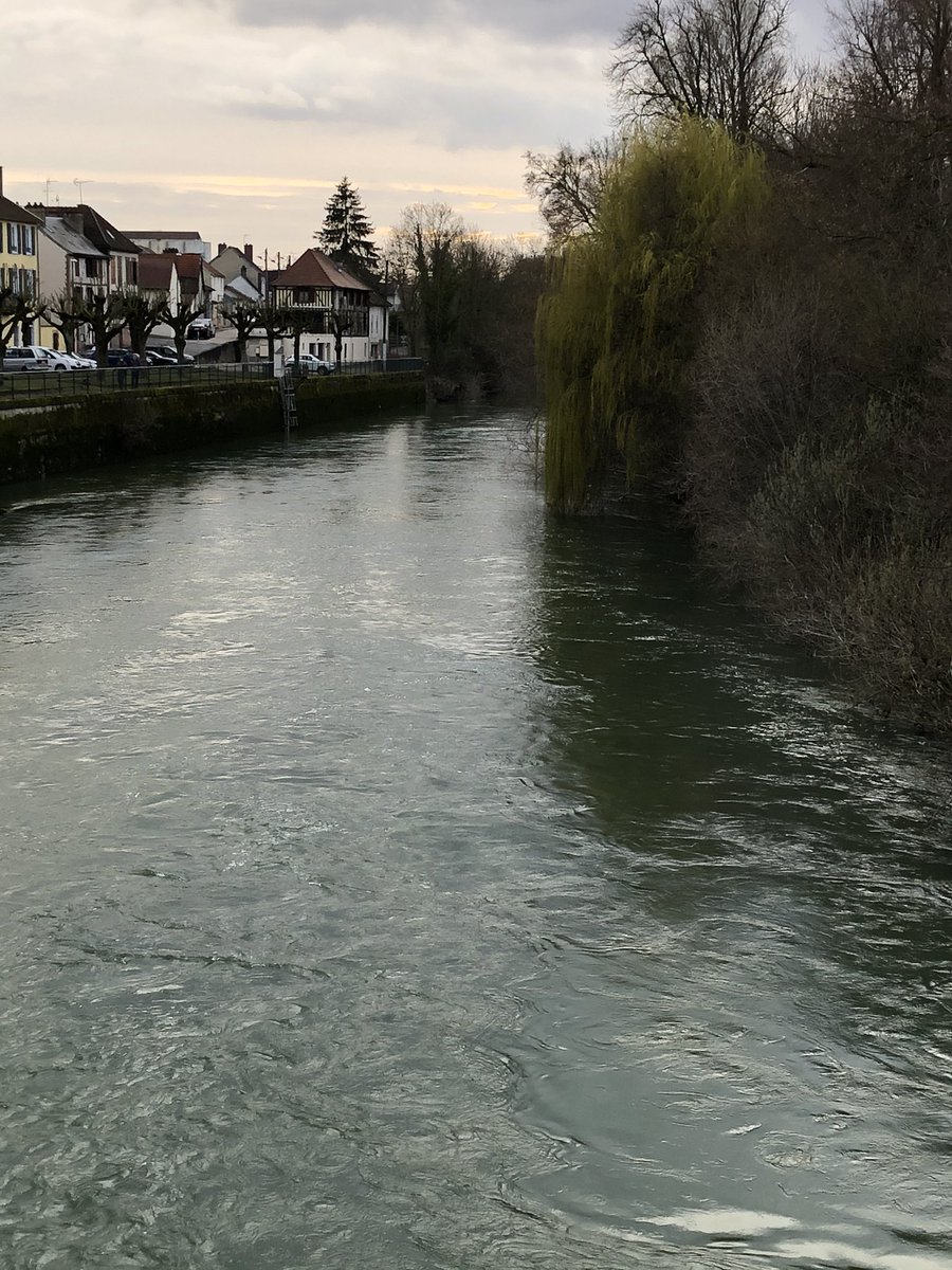 ASurmelin's tweet photo. #rivières et #coursd’eau que nous aimons : L’Aube à Arcy sur Aube. #nature #biodiversité #gemapi @AubeDepartement https://t.co/SRDaZ2C0uW