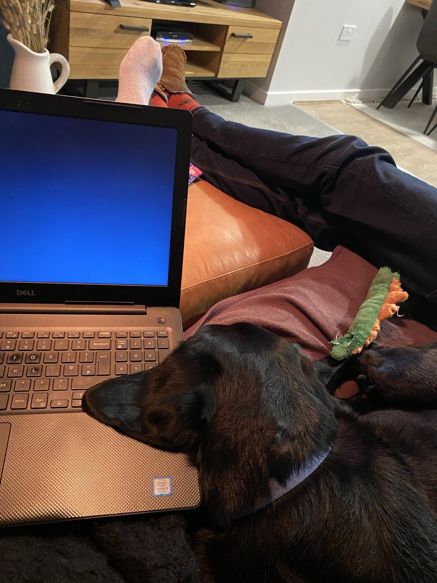 Sarah Taylor tweet media