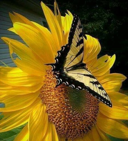 GabrieleCruccas's tweet photo. #Resisti.
Anche quando #inciampi.
Anche quando gli #occhi #pungono. Anche quando una #delusione
ti #ferisce.
Anche quando la #forza ti #abbandona.
Tu #resisti.
Stringi i #pugni e ricomincia.
Buona serata @GabrieleCruccas https://t.co/xvzi4PVRP9