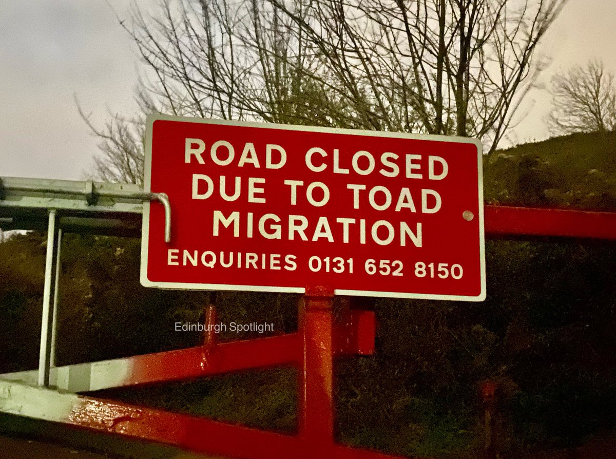 It’s that time of year again...

The road is closed to vehicles around Holyrood Park at the moment anyway, but if you’re cycling or running, be careful of toads on the road!

#Edinburgh