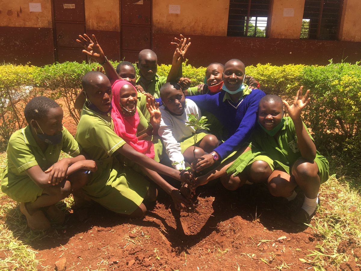 G4CAGreenMaster's tweet photo. The #PLETree in schools started today. The tree is a gift we give to every outgoing class to mark their end of primary level. These are some of the ways we make sure children value the trees. #ClimateAction #COP26 https://t.co/8zt5cuhwlj