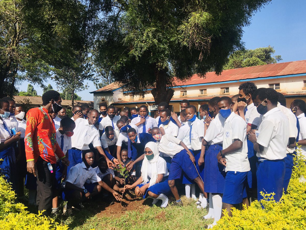 G4CAGreenMaster's tweet photo. The #PLETree in schools started today. The tree is a gift we give to every outgoing class to mark their end of primary level. These are some of the ways we make sure children value the trees. #ClimateAction #COP26 https://t.co/8zt5cuhwlj