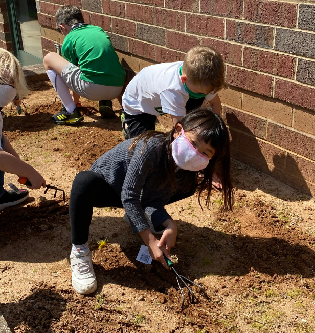Planting Day at Buford Academy. Mrs Low and Mrs. Botham's 1st graders are learning about about gardening this month with a special project in the BA courtyard. #plants #BelongandAspire