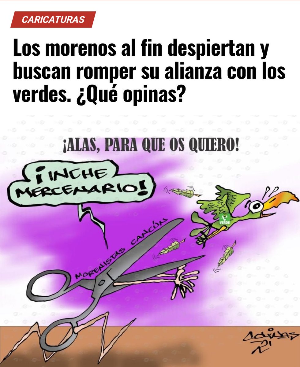 CRONICACANCUN's tweet photo. La gente debe despertar, no pueden permitir perpetuar en el poder a los nefastos del partido Verde, deben unirse los Morenos para sacarlos de la coalición en Quintana Roo, que los verdes vayan solos en la elección #noalpartidoverde
https://t.co/dulprdQ0Ab https://t.co/8RlOg8327i