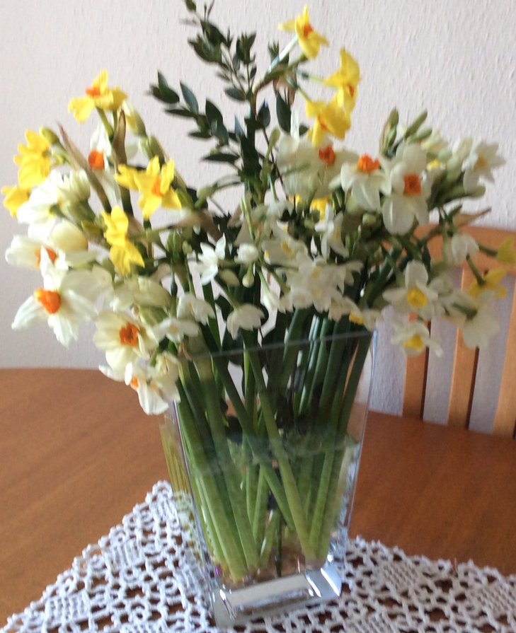 Thank you <a href="/cornishflowers/">Jenny Rogers</a> for brightening up my mum's day with your beautiful scented #narcissi by post. Found you on the internet! Supporting producers #britishflowers