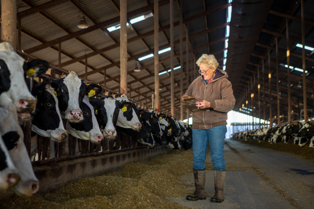 dfamilk's tweet photo. The #dairysector has continued to provide safe and nutritious foods throughout #COVID19, thanks to the dedication of many #foodheroes.

This #AgWeek21, we’re #DFAProud that resiliency to vulnerabilities, shocks and stress is a top priority for our industry. @ICCCAD #UNFSS2021 https://t.co/qazfNkw5cF