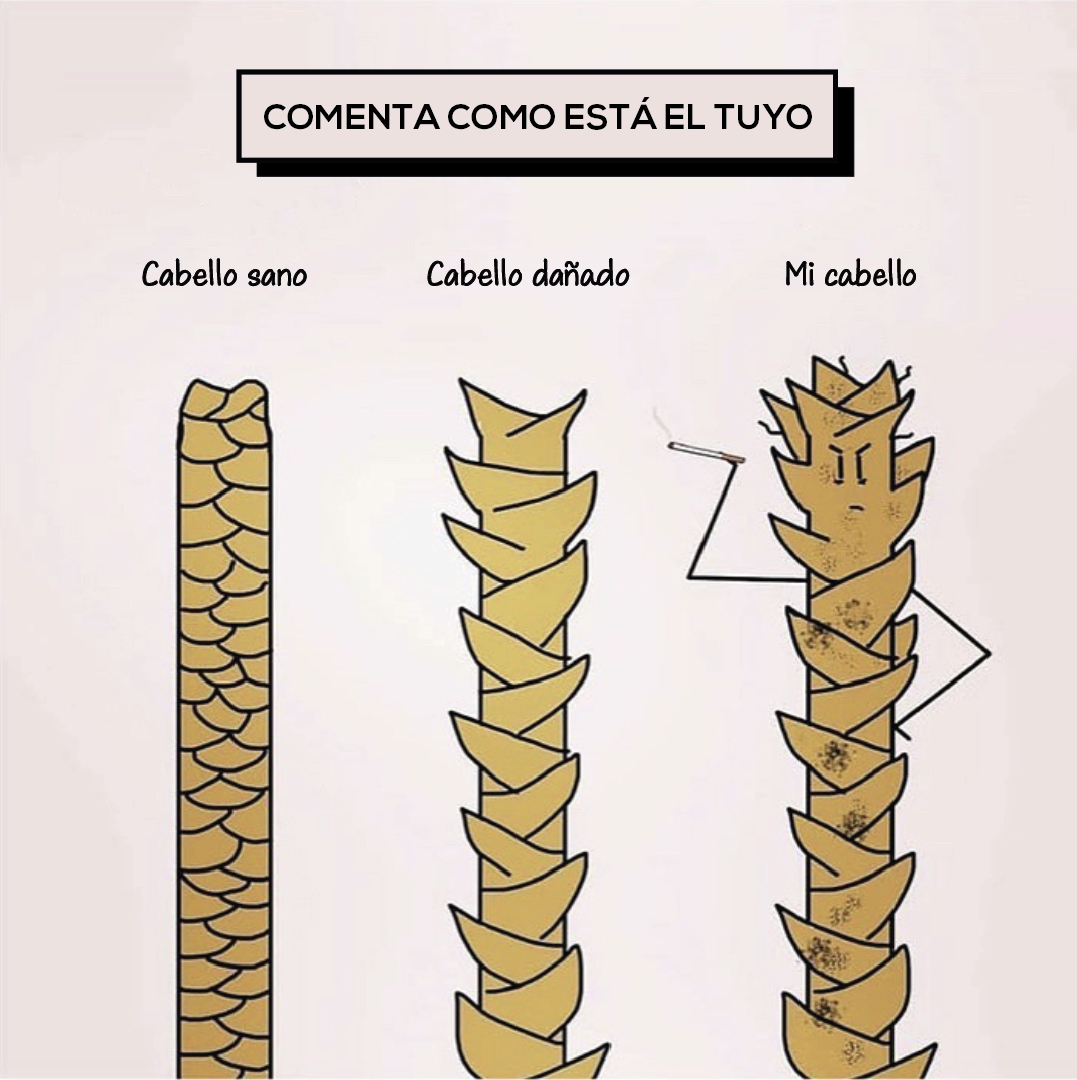 holisticobeauty's tweet photo. Un poco de humor para este miércoles😅

💭Cuéntanos en los comentarios con que tipo de cabello de nuestra imagen te identificas. Y también si hay algo que quisieras mejorar de tu cabellera 🤗🤗

🙌🏽Queremos asesorarte y brindarte las mejores soluciones 🍃 https://t.co/t0Uewn5e2z