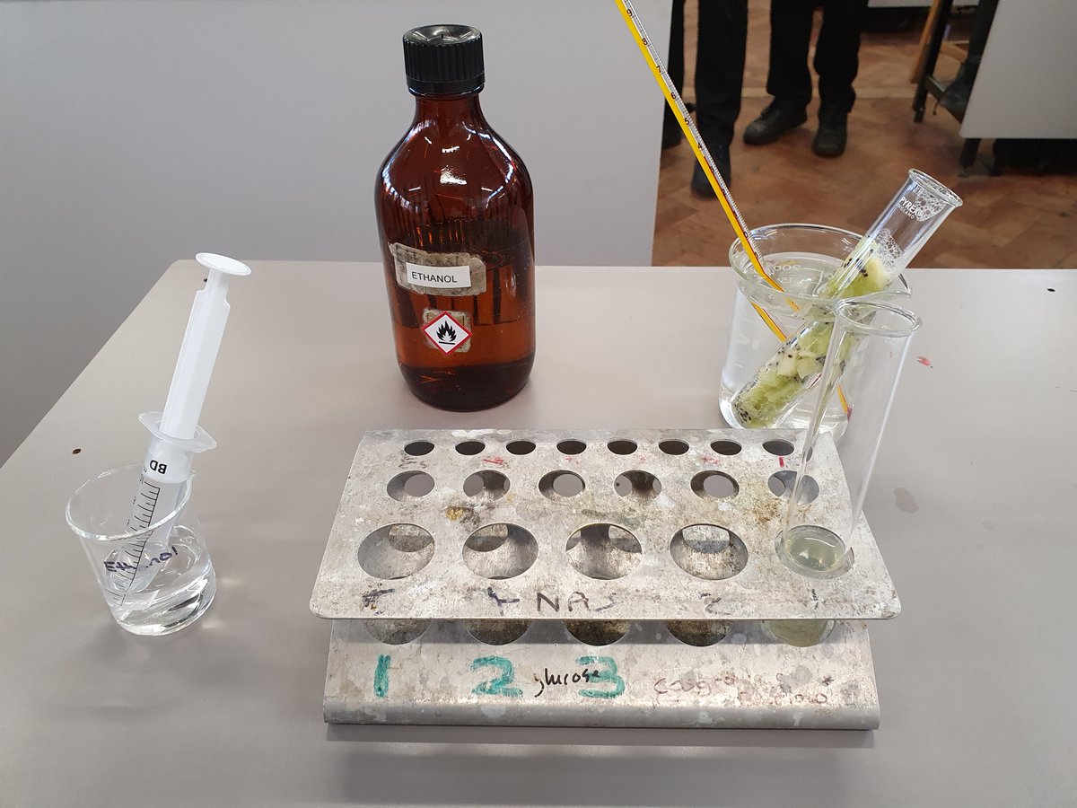 JHGS_Science's tweet photo. Back to the lab again!

Mr Sheikh has been working practicals with 10A extracting DNA from Kiwi fruit! 🧪🧑‍🔬🥼🧬

#backatschool #extractingDNA https://t.co/9ZevqHJj6B
