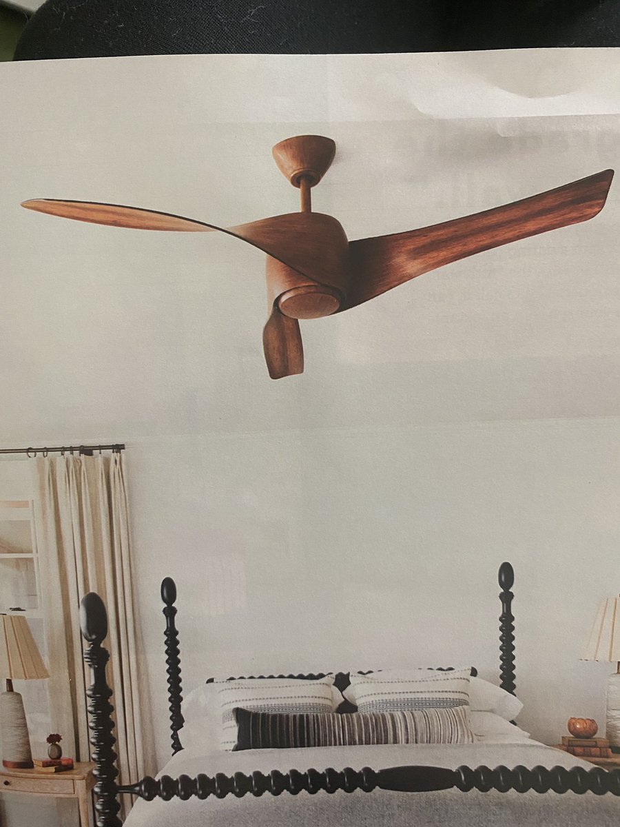 AngelaMuir's tweet photo. @goodhousemag where is this fan from?! I need it in my life! It’s in the April 2021 issue https://t.co/gvmiUI2OYI