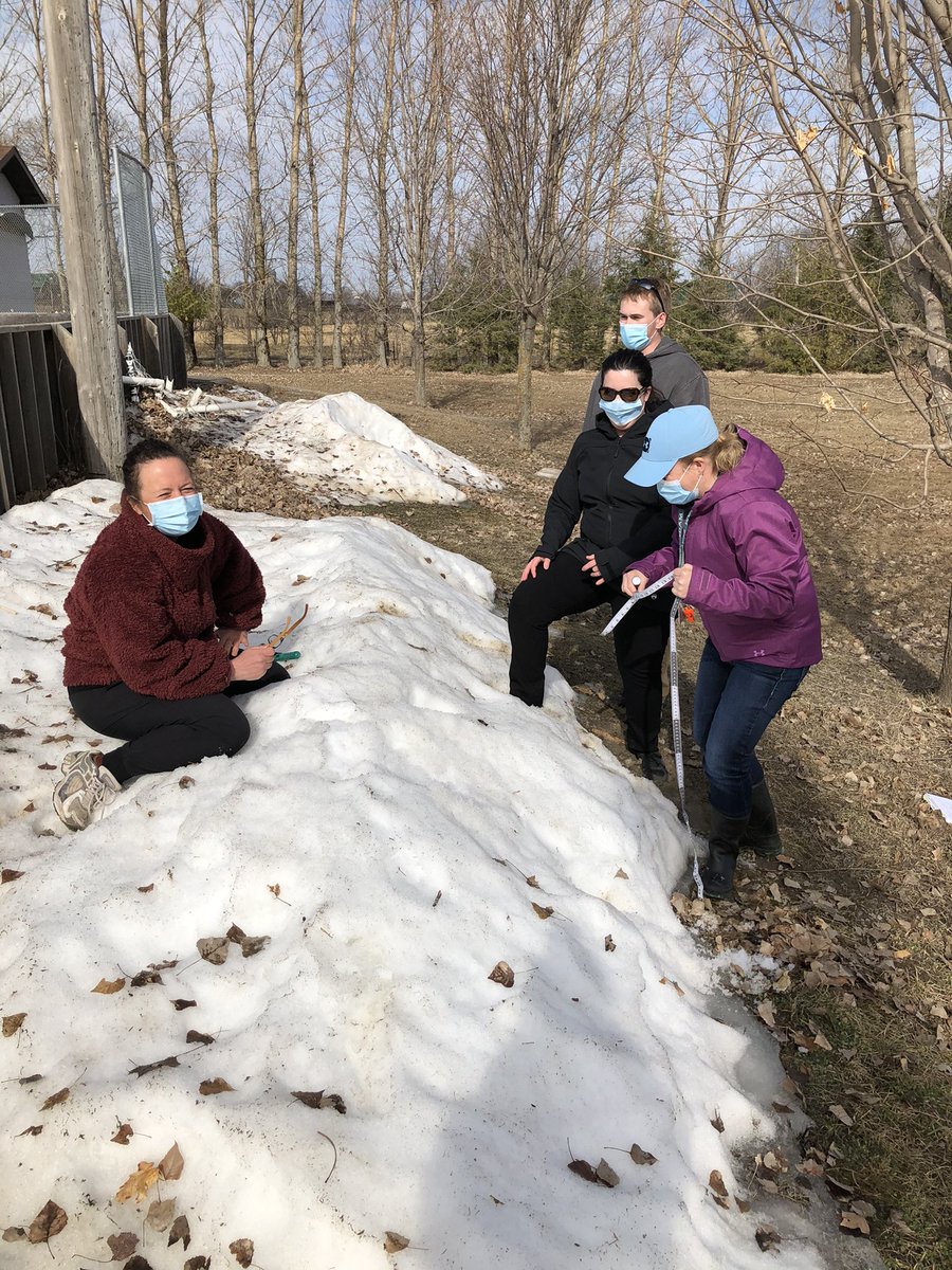 MrsWroeQEPS's tweet photo. There’s a subnivean space to explore? Temperature comparison of snow and sand @admaston_ps today as well as the longevity of plastics in our ecosystem paired with place value. Doesn’t get any better than this ##RCDSBmath #RCDSBintegratedlearning with @RocknFraser @LorieDKMason https://t.co/40dt9ISsEj