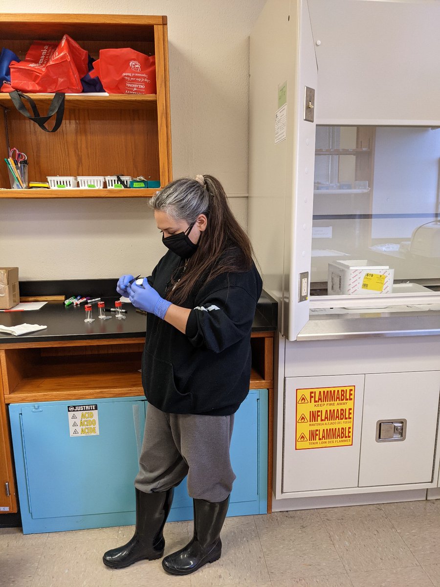 SteinLabOU's tweet photo. After waiting to see if some of our spiders came out of overwintering, it's time to freeze and store the dead. It's a big job, but thankfully we have *amazing* students, like Jordon, to help out @GatchLaura with this huge task!
#undergradinthelab #spiders https://t.co/Drjo620kDU