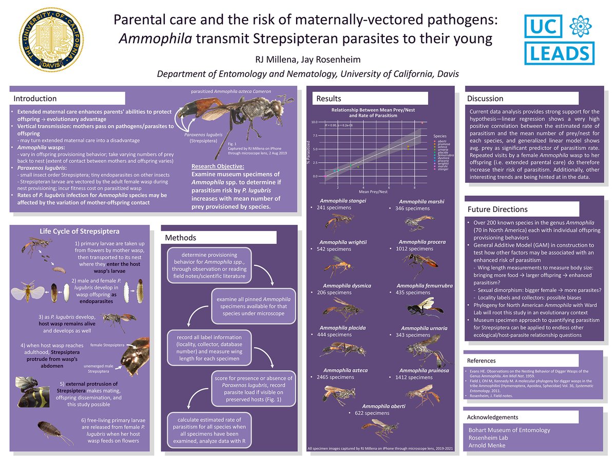 UCDavisEntomolo's tweet photo. Meet Rebecca Jean "RJ" Millena. An incredible #ucdavis  student researcher in entomology who has just accepted an amazing doctoral opportunity with #AMNS, Jessica Ware's systematic lab. RJ knew at age 5 she wanted to be an entomologist! See https://t.co/Fn0BRnTIdc https://t.co/vGxswcyEXj