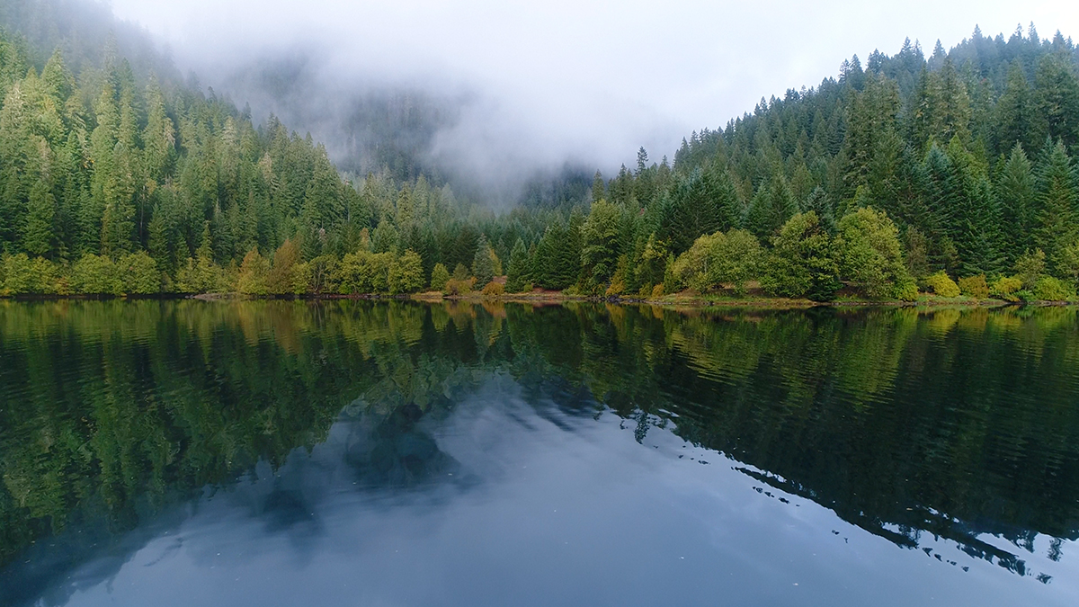 A small lake in central Oregon that I stopped by on a foggy October morning. The Pacific Northwest is king when it comes to nice little spots like this one.

#pnwhiking #pnw #oregon