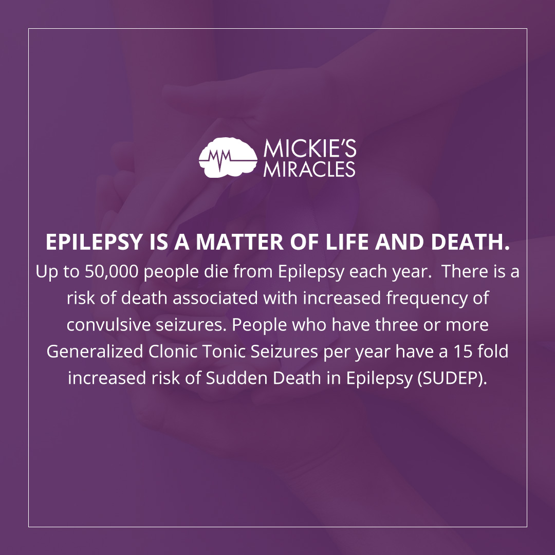 Mickie's Miracles tweet media