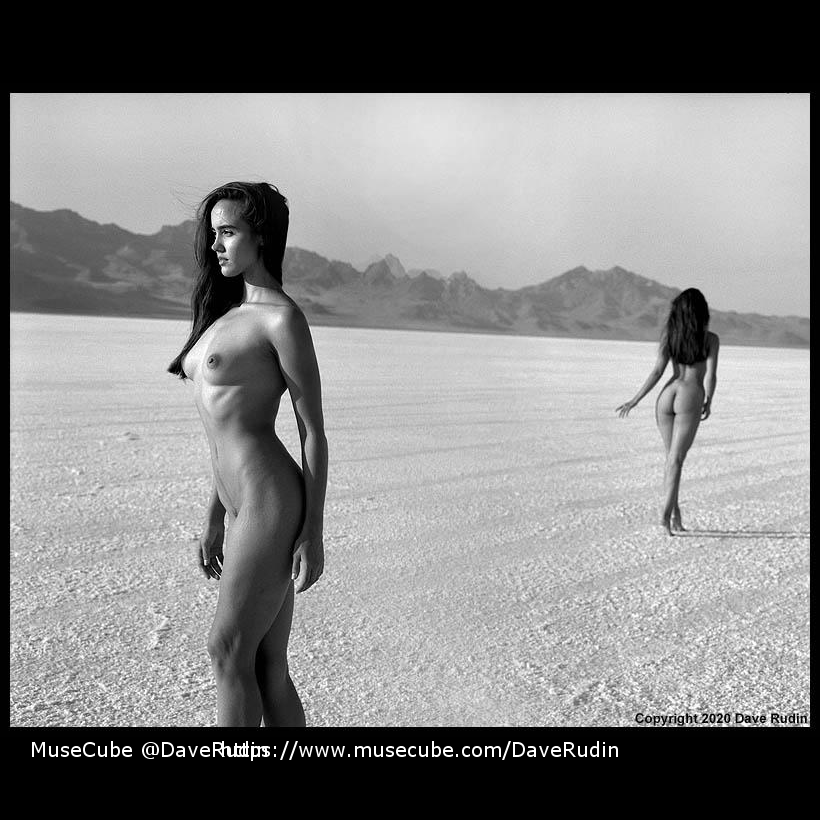 MuseCube tweet media